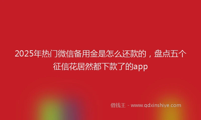 2025年热门微信备用金是怎么还款的，盘点五个征信花居然都下款了的app