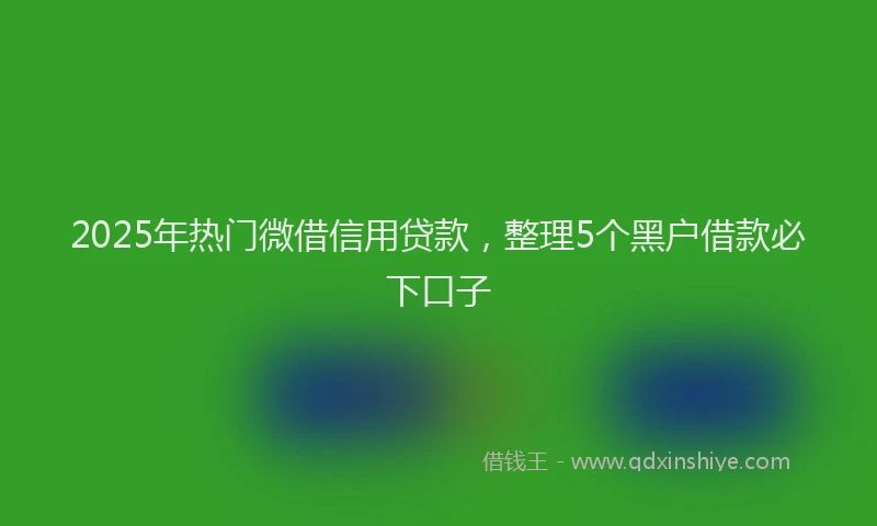 2025年热门微借信用贷款，整理5个黑户借款必下口子