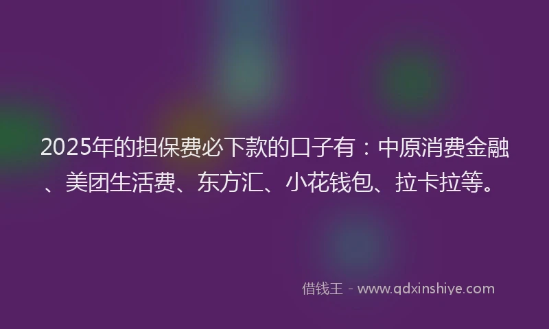 2025年的担保费必下款的口子有：中原消费金融、美团生活费、东方汇、小花钱包、拉卡拉等。