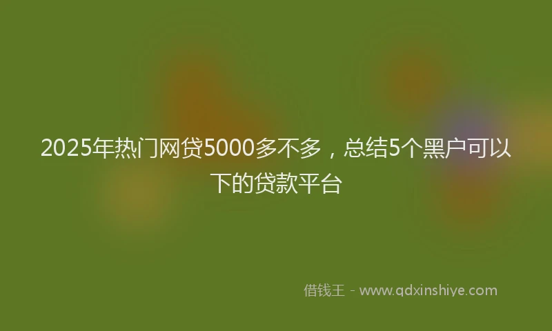 2025年热门网贷5000多不多，总结5个黑户可以下的贷款平台
