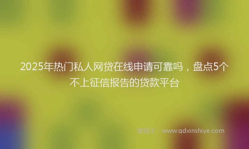 2025年热门私人网贷在线申请可靠吗，盘点5个不上征信报告的贷款平台