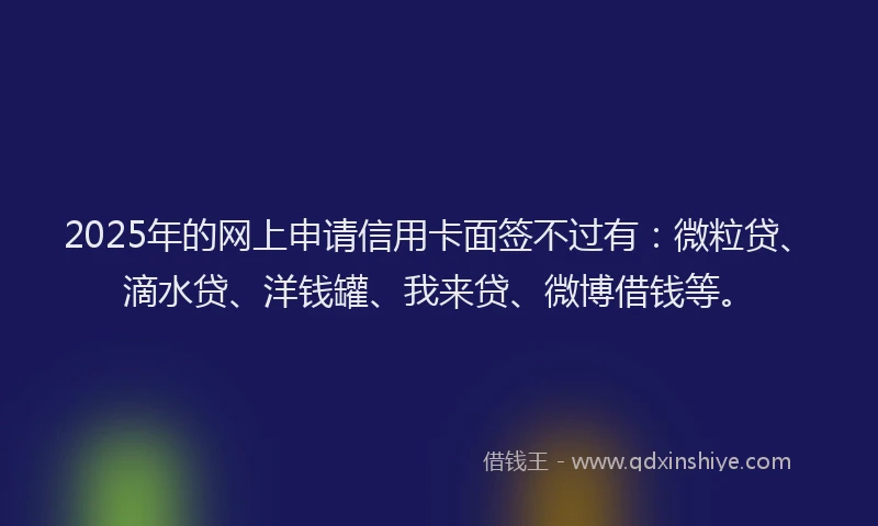 2025年的网上申请信用卡面签不过有：微粒贷、滴水贷、洋钱罐、我来贷、微博借钱等。