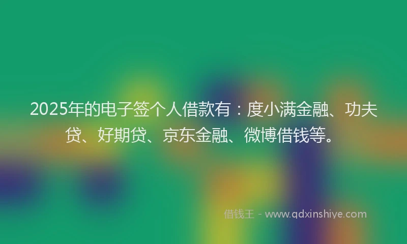 2025年的电子签个人借款有：度小满金融、功夫贷、好期贷、京东金融、微博借钱等。