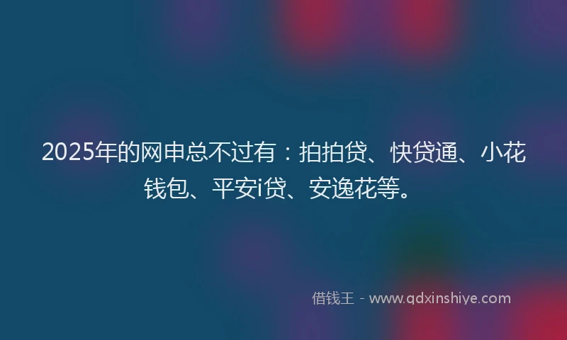 2025年的网申总不过有：拍拍贷、快贷通、小花钱包、平安i贷、安逸花等。