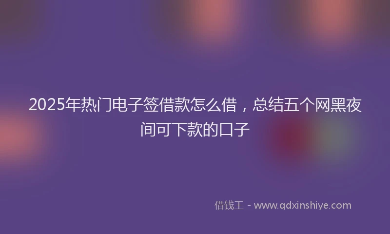 2025年热门电子签借款怎么借，总结五个网黑夜间可下款的口子