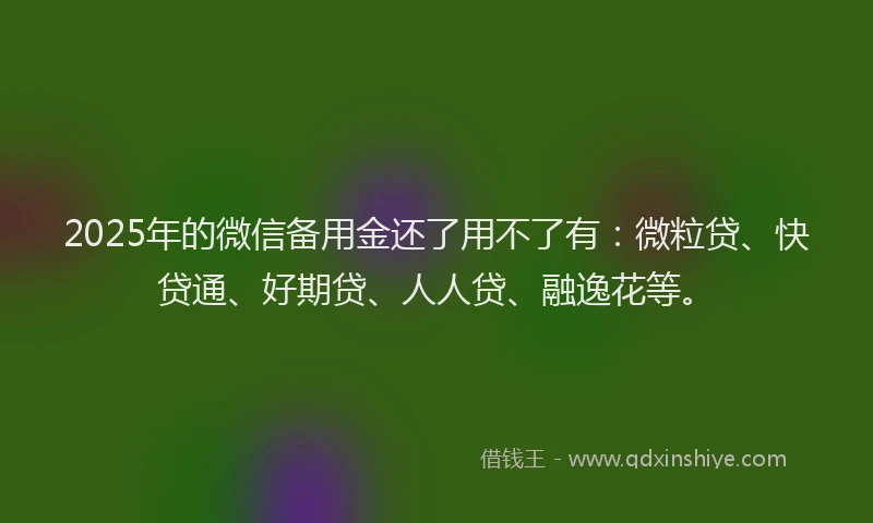 2025年的微信备用金还了用不了有：微粒贷、快贷通、好期贷、人人贷、融逸花等。