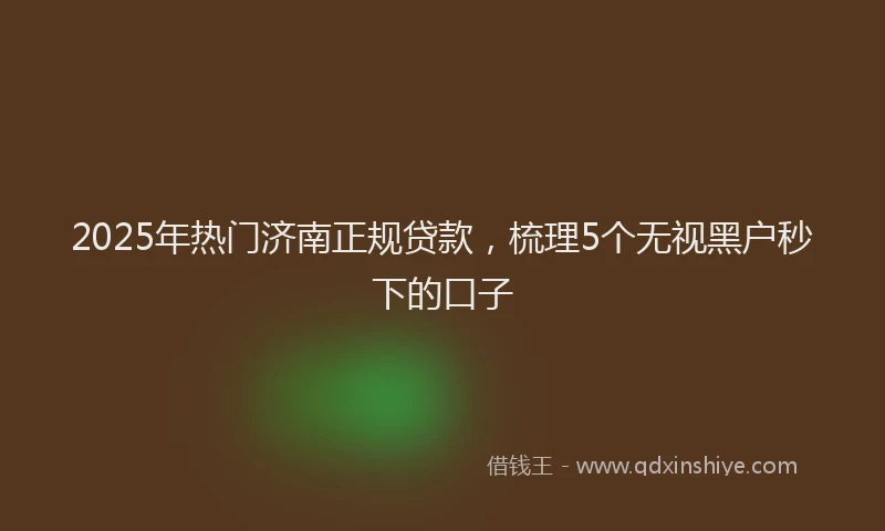 2025年热门济南正规贷款，梳理5个无视黑户秒下的口子