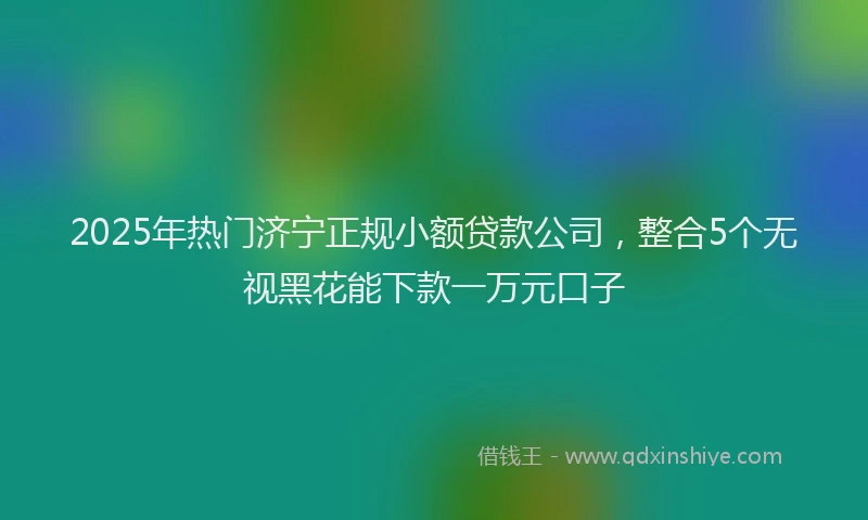 2025年热门济宁正规小额贷款公司，整合5个无视黑花能下款一万元口子