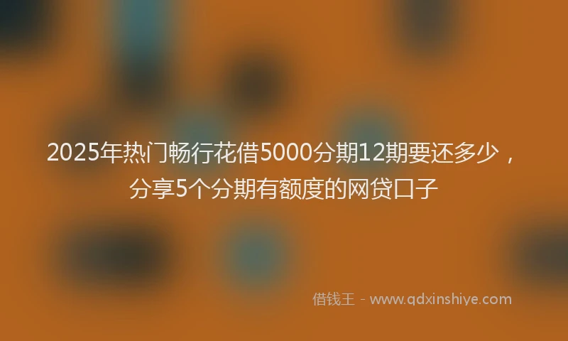 2025年热门畅行花借5000分期12期要还多少，分享5个分期有额度的网贷口子