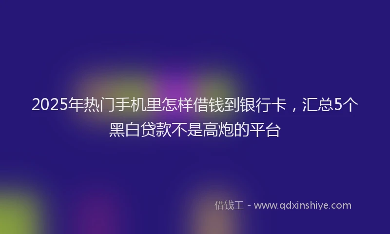 2025年热门手机里怎样借钱到银行卡，汇总5个黑白贷款不是高炮的平台