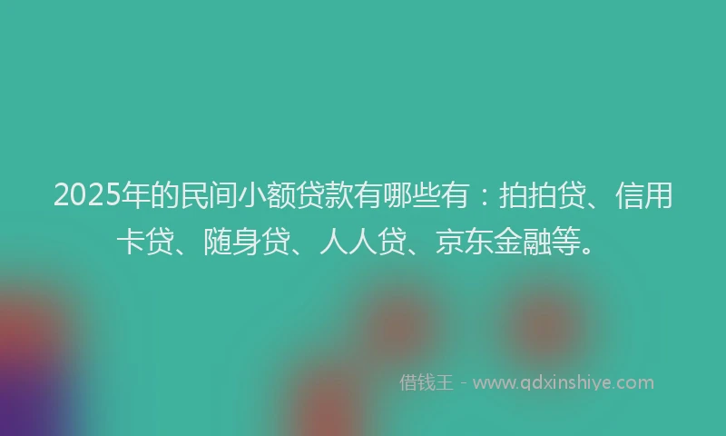 2025年的民间小额贷款有哪些有：拍拍贷、信用卡贷、随身贷、人人贷、京东金融等。