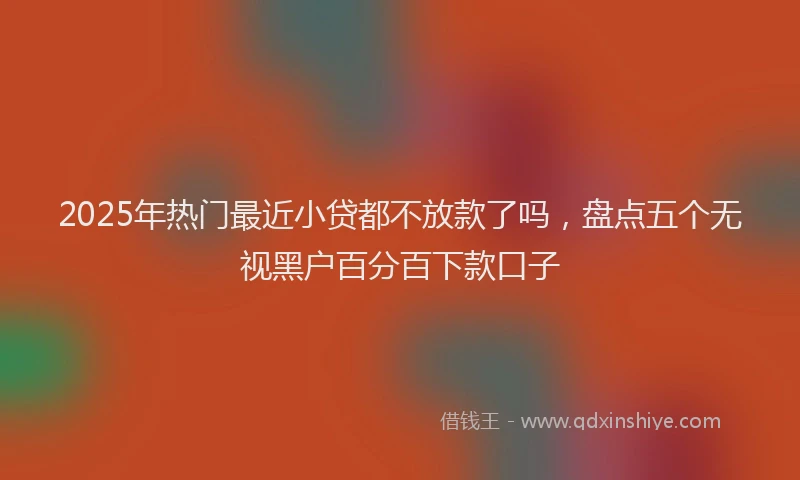2025年热门最近小贷都不放款了吗，盘点五个无视黑户百分百下款口子