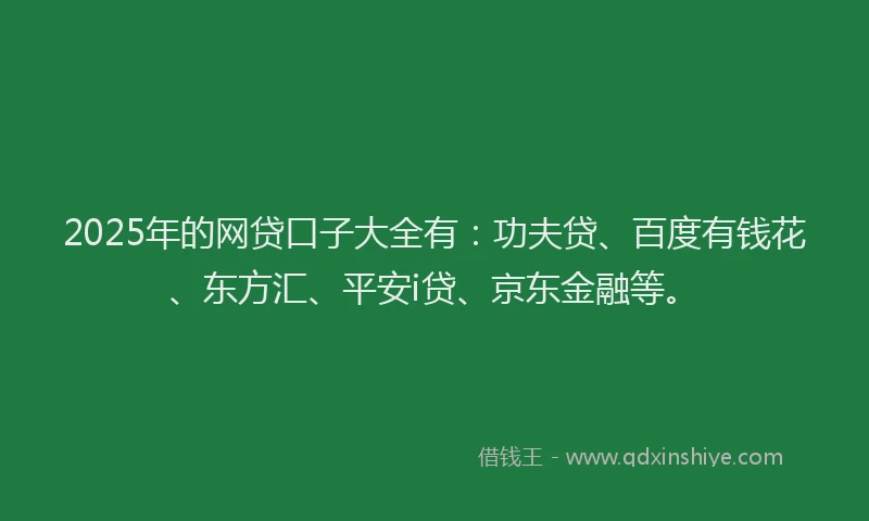 2025年的网贷口子大全有：功夫贷、百度有钱花、东方汇、平安i贷、京东金融等。