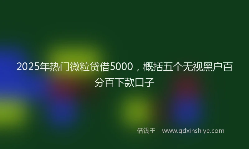 2025年热门微粒贷借5000，概括五个无视黑户百分百下款口子