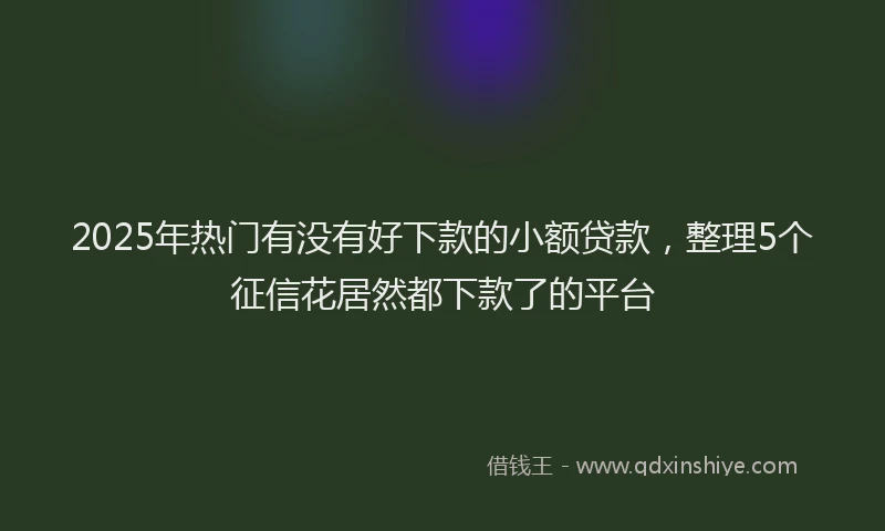 2025年热门有没有好下款的小额贷款，整理5个征信花居然都下款了的平台
