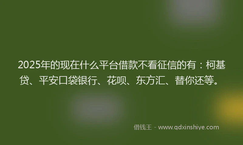 2025年的现在什么平台借款不看征信的有：柯基贷、平安口袋银行、花呗、东方汇、替你还等。