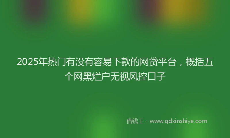 2025年热门有没有容易下款的网贷平台，概括五个网黑烂户无视风控口子