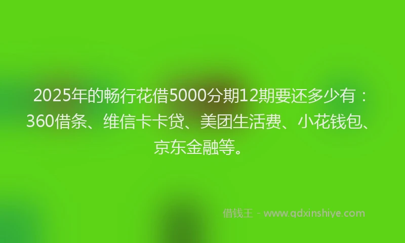 2025年的畅行花借5000分期12期要还多少有：360借条、维信卡卡贷、美团生活费、小花钱包、京东金融等。