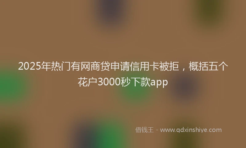 2025年热门有网商贷申请信用卡被拒，概括五个花户3000秒下款app