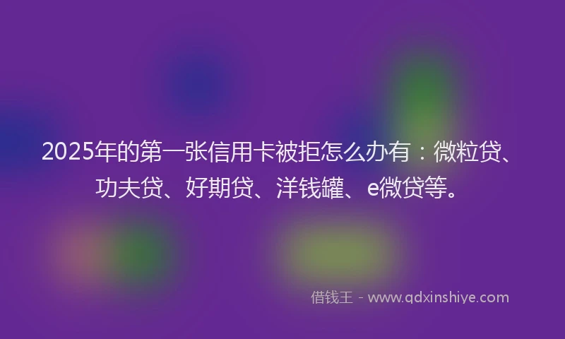 2025年的第一张信用卡被拒怎么办有：微粒贷、功夫贷、好期贷、洋钱罐、e微贷等。