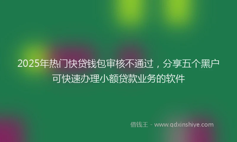 2025年热门快贷钱包审核不通过，分享五个黑户可快速办理小额贷款业务的软件