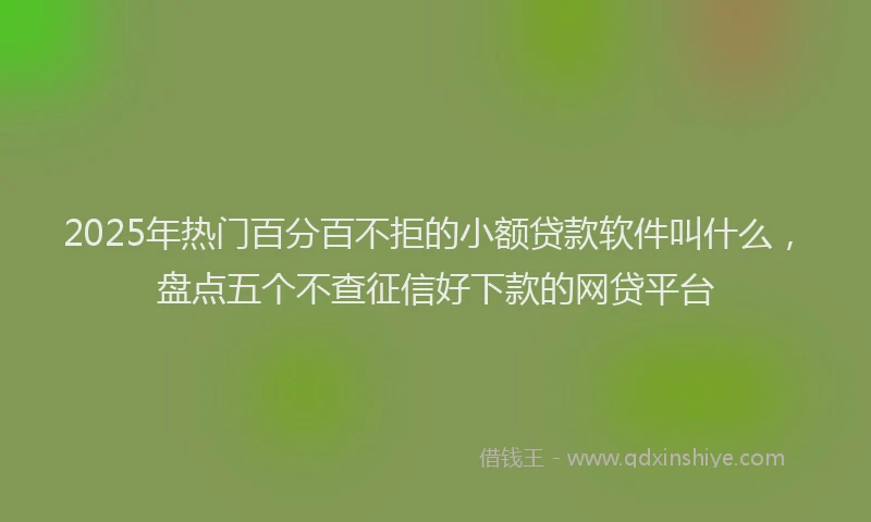 2025年热门百分百不拒的小额贷款软件叫什么，盘点五个不查征信好下款的网贷平台