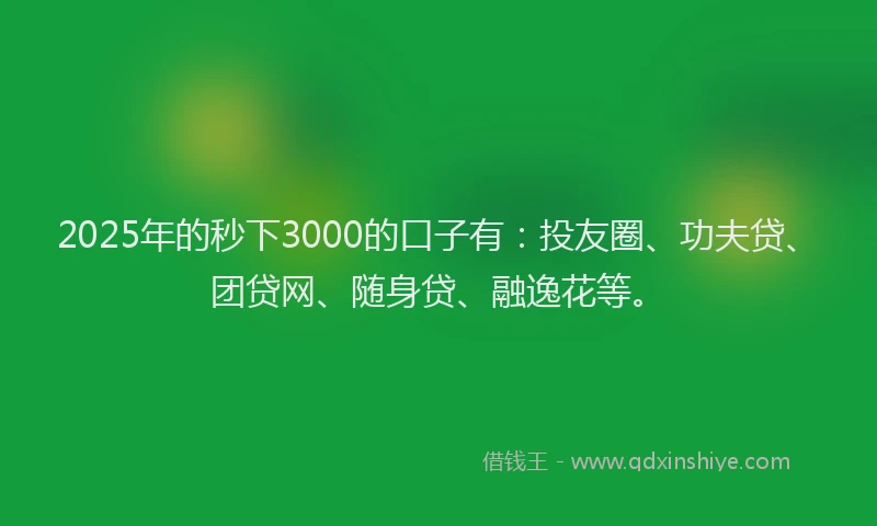 2025年的秒下3000的口子有：投友圈、功夫贷、团贷网、随身贷、融逸花等。