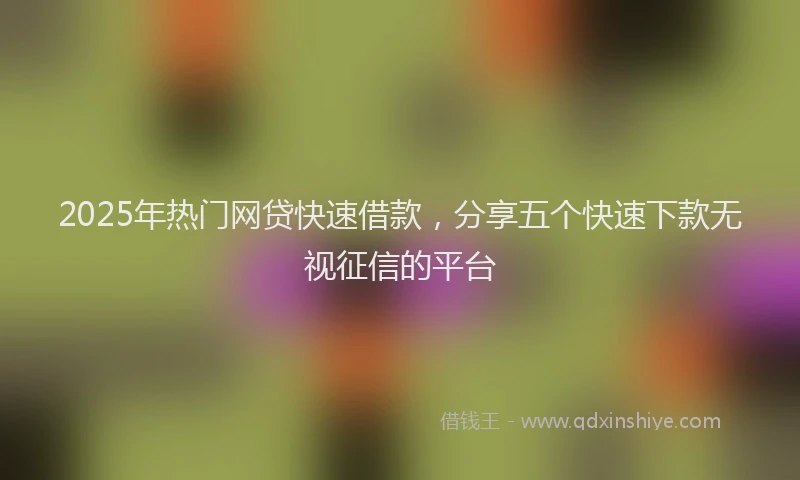 2025年热门网贷快速借款，分享五个快速下款无视征信的平台