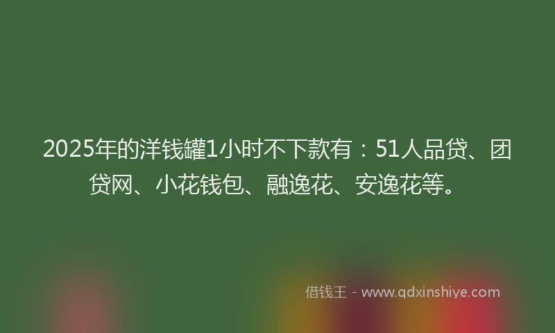 2025年的洋钱罐1小时不下款有：51人品贷、团贷网、小花钱包、融逸花、安逸花等。