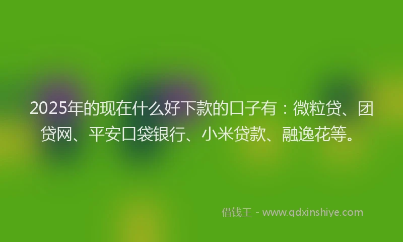 2025年的现在什么好下款的口子有：微粒贷、团贷网、平安口袋银行、小米贷款、融逸花等。