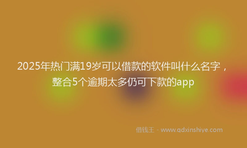2025年热门满19岁可以借款的软件叫什么名字，整合5个逾期太多仍可下款的app