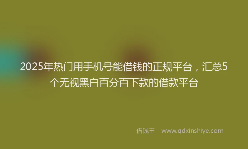 2025年热门用手机号能借钱的正规平台，汇总5个无视黑白百分百下款的借款平台