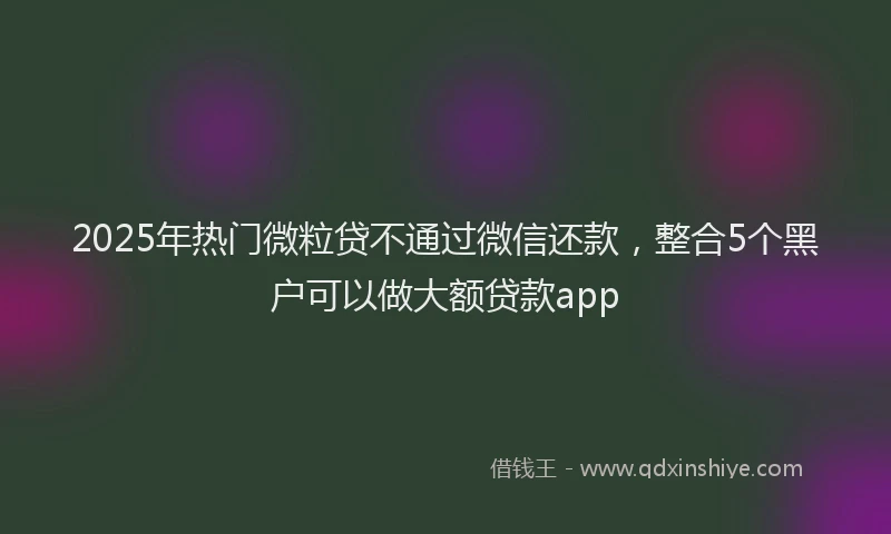 2025年热门微粒贷不通过微信还款，整合5个黑户可以做大额贷款app