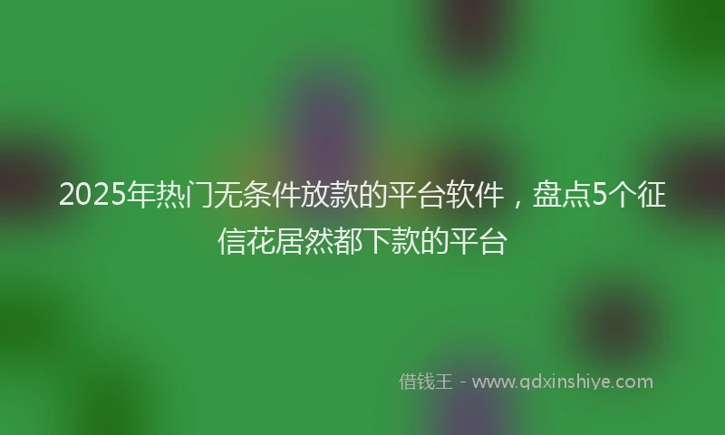 2025年热门无条件放款的平台软件，盘点5个征信花居然都下款的平台