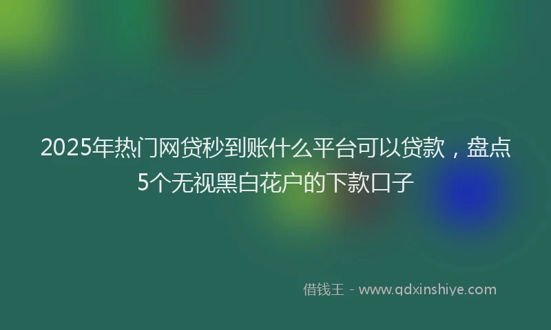 2025年热门网贷秒到账什么平台可以贷款，盘点5个无视黑白花户的下款口子