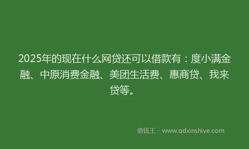 2025年的现在什么网贷还可以借款有：度小满金融、中原消费金融、美团生活费、惠商贷、我来贷等。