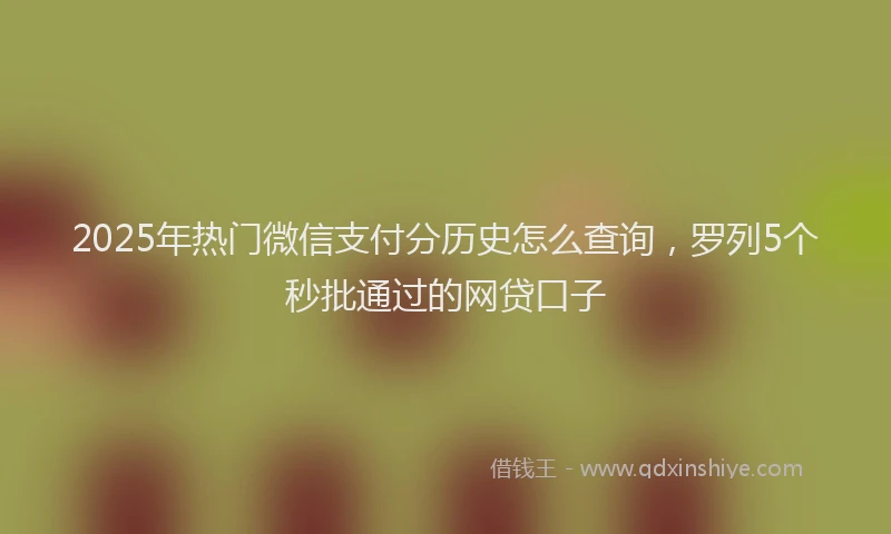 2025年热门微信支付分历史怎么查询，罗列5个秒批通过的网贷口子