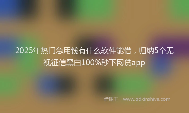 2025年热门急用钱有什么软件能借，归纳5个无视征信黑白100%秒下网贷app