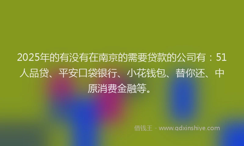 2025年的有没有在南京的需要贷款的公司有：51人品贷、平安口袋银行、小花钱包、替你还、中原消费金融等。
