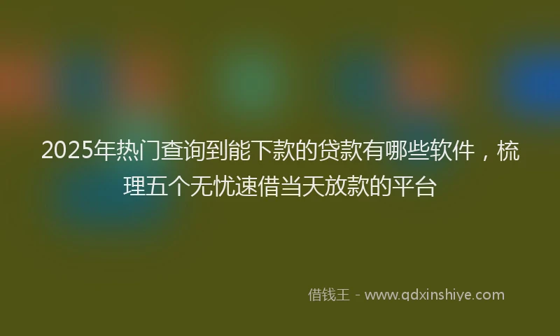 2025年热门查询到能下款的贷款有哪些软件，梳理五个无忧速借当天放款的平台