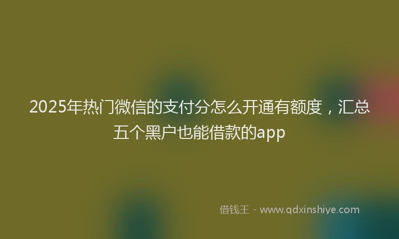 2025年热门微信的支付分怎么开通有额度，汇总五个黑户也能借款的app