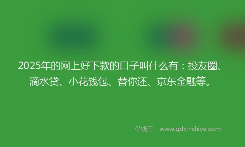 2025年的网上好下款的口子叫什么有：投友圈、滴水贷、小花钱包、替你还、京东金融等。