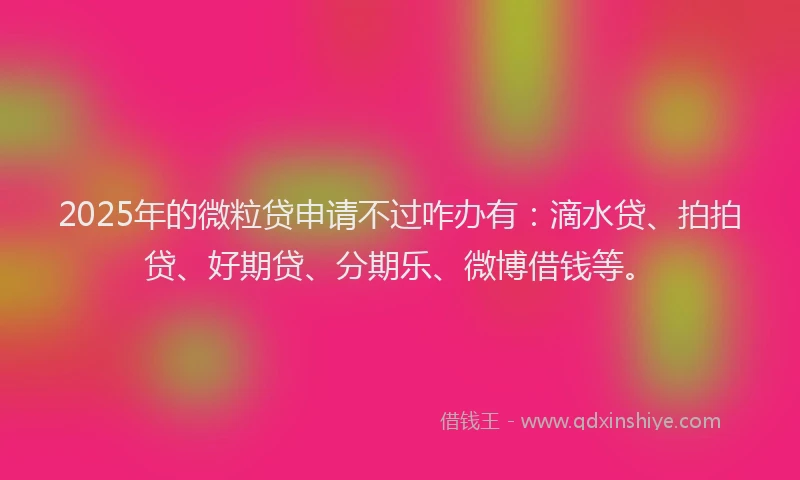 2025年的微粒贷申请不过咋办有：滴水贷、拍拍贷、好期贷、分期乐、微博借钱等。