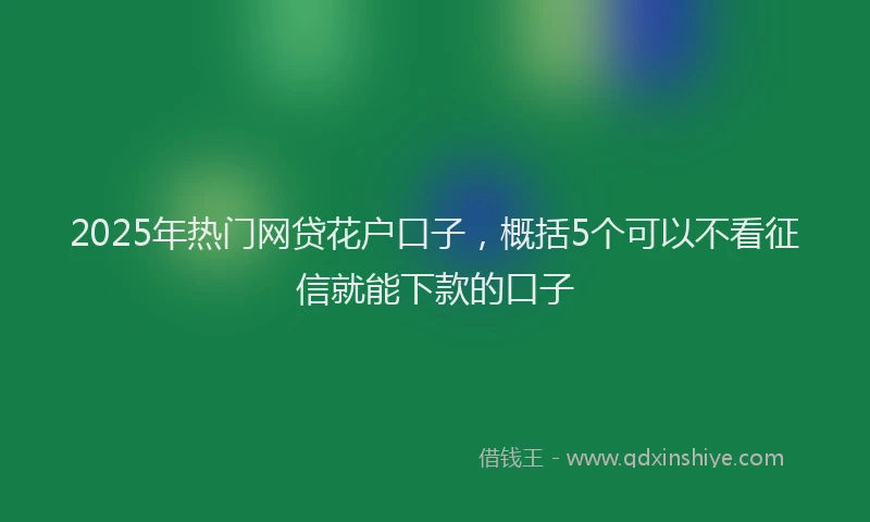 2025年热门网贷花户口子，概括5个可以不看征信就能下款的口子