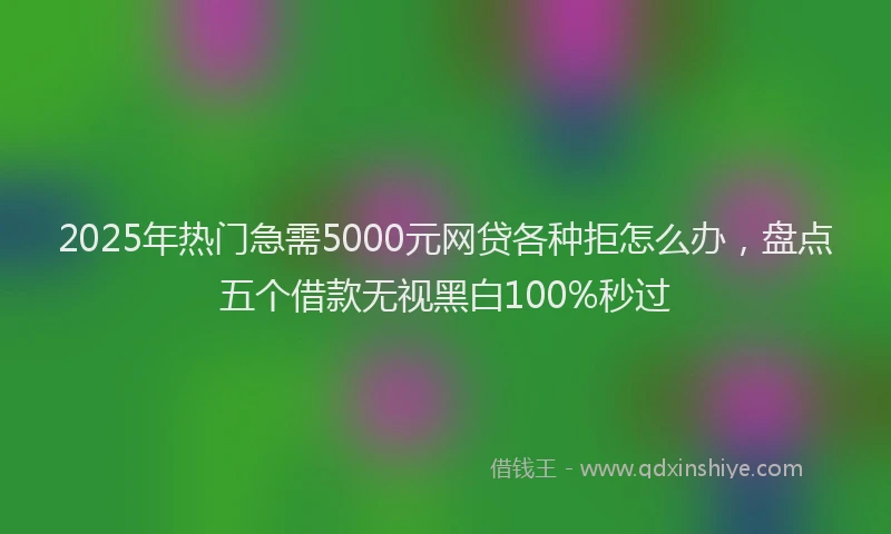 2025年热门急需5000元网贷各种拒怎么办，盘点五个借款无视黑白100%秒过