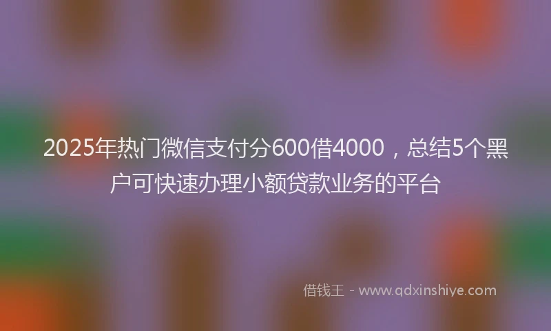 2025年热门微信支付分600借4000，总结5个黑户可快速办理小额贷款业务的平台