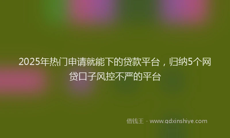 2025年热门申请就能下的贷款平台，归纳5个网贷口子风控不严的平台