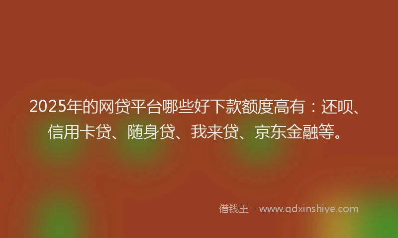 2025年的网贷平台哪些好下款额度高有：还呗、信用卡贷、随身贷、我来贷、京东金融等。