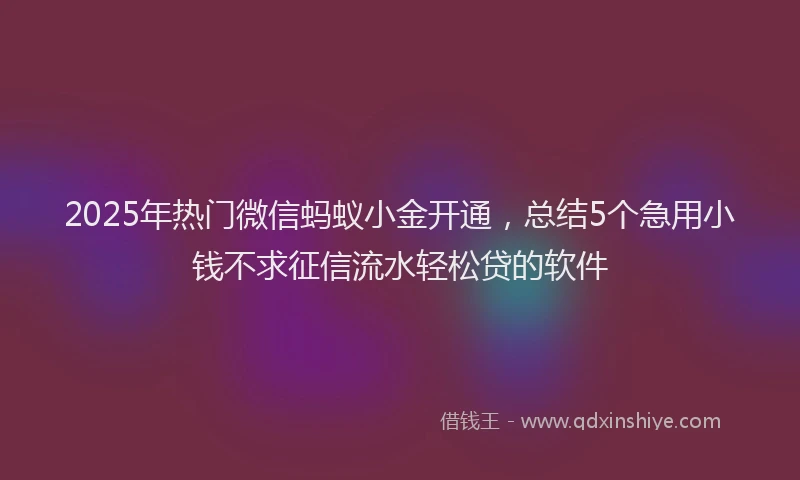 2025年热门微信蚂蚁小金开通，总结5个急用小钱不求征信流水轻松贷的软件