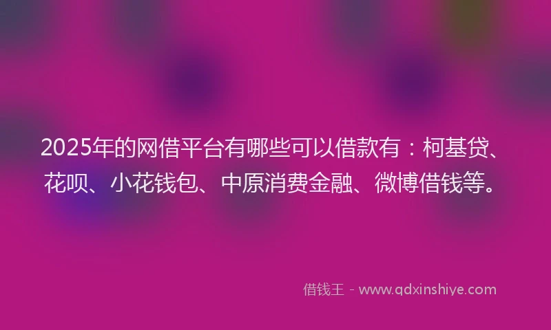 2025年的网借平台有哪些可以借款有：柯基贷、花呗、小花钱包、中原消费金融、微博借钱等。